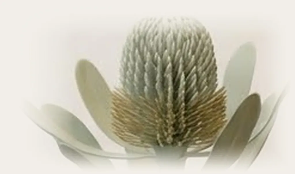 A soft clay thistle flower, pale green, standing upright.